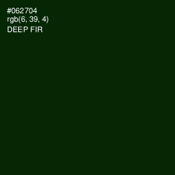 #062704 - Deep Fir Color Image