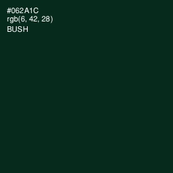 #062A1C - Bush Color Image