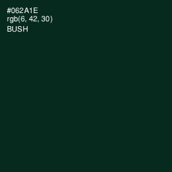 #062A1E - Bush Color Image