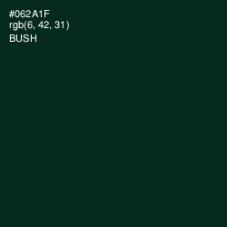 #062A1F - Bush Color Image