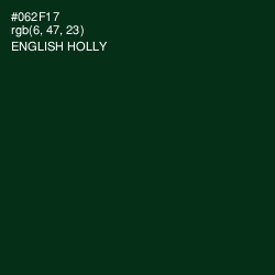 #062F17 - English Holly Color Image