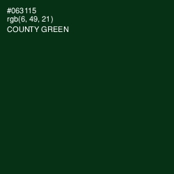#063115 - County Green Color Image