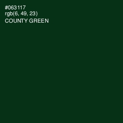 #063117 - County Green Color Image