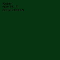 #063511 - County Green Color Image