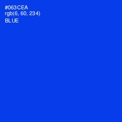 #063CEA - Blue Color Image