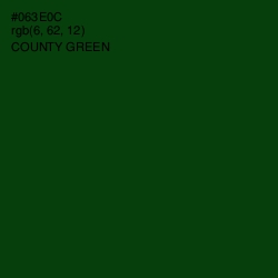 #063E0C - County Green Color Image