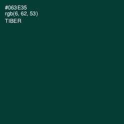 #063E35 - Tiber Color Image