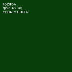 #063F0A - County Green Color Image