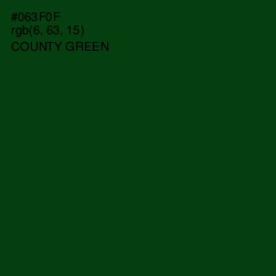 #063F0F - County Green Color Image