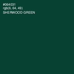 #064031 - Sherwood Green Color Image