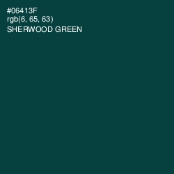 #06413F - Sherwood Green Color Image