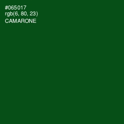 #065017 - Camarone Color Image