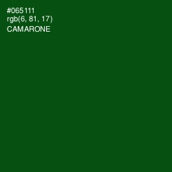 #065111 - Camarone Color Image