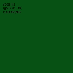 #065113 - Camarone Color Image