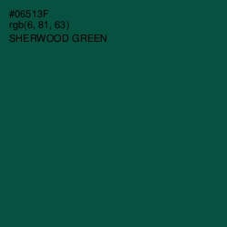 #06513F - Sherwood Green Color Image