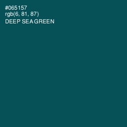 #065157 - Deep Sea Green Color Image