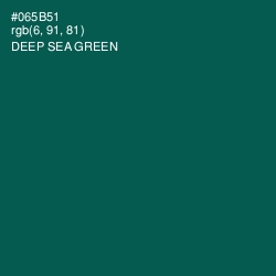 #065B51 - Deep Sea Green Color Image
