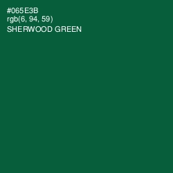 #065E3B - Sherwood Green Color Image