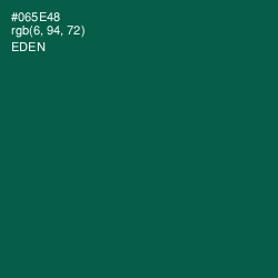 #065E48 - Eden Color Image