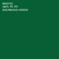 #065F35 - Sherwood Green Color Image