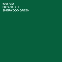 #065F3D - Sherwood Green Color Image