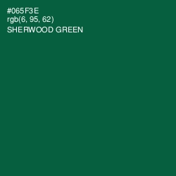 #065F3E - Sherwood Green Color Image