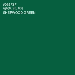 #065F3F - Sherwood Green Color Image