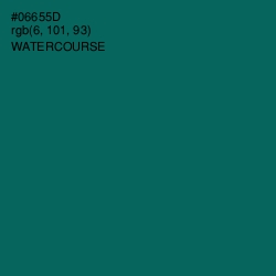 #06655D - Watercourse Color Image