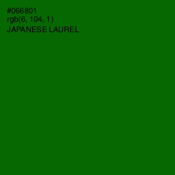 #066801 - Japanese Laurel Color Image