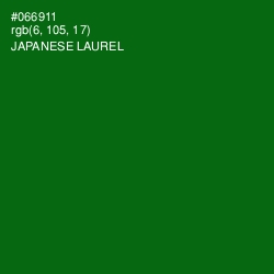 #066911 - Japanese Laurel Color Image