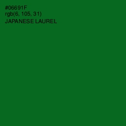 #06691F - Japanese Laurel Color Image