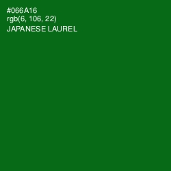 #066A16 - Japanese Laurel Color Image