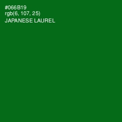 #066B19 - Japanese Laurel Color Image