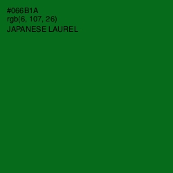 #066B1A - Japanese Laurel Color Image