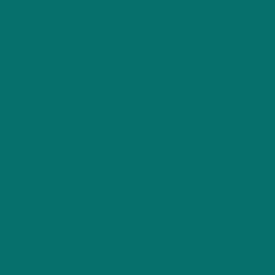 #06716C - Pine Green Color Image