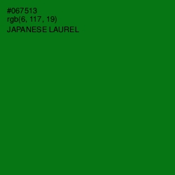 #067513 - Japanese Laurel Color Image