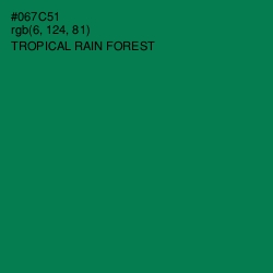 #067C51 - Tropical Rain Forest Color Image