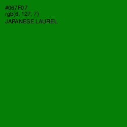 #067F07 - Japanese Laurel Color Image