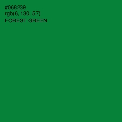 #068239 - Forest Green Color Image