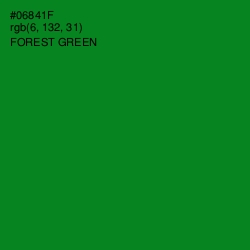 #06841F - Forest Green Color Image