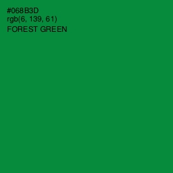 #068B3D - Forest Green Color Image