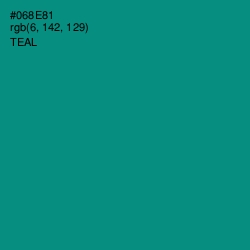 #068E81 - Teal Color Image