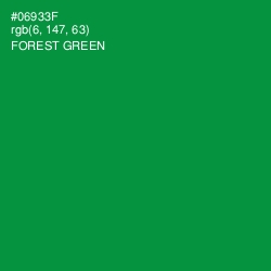 #06933F - Forest Green Color Image