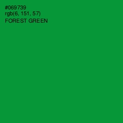 #069739 - Forest Green Color Image