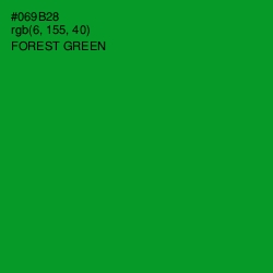 #069B28 - Forest Green Color Image