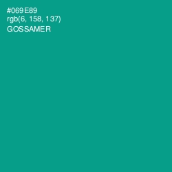 #069E89 - Gossamer Color Image