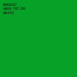 #06A227 - Forest Green Color Image