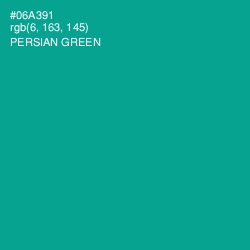 #06A391 - Persian Green Color Image