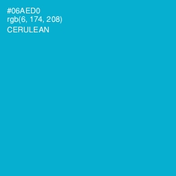 #06AED0 - Cerulean Color Image
