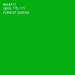 #06AF11 - Forest Green Color Image